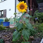 La Casita Linda * Eberbach (Rhein-Neckar-Kreis)