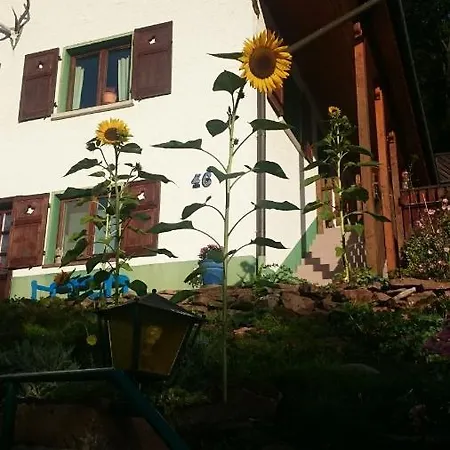 La Casita Linda 埃伯巴赫