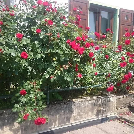 公寓 La Casita Linda 埃伯巴赫