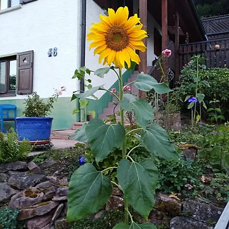 La Casita Linda * Eberbach (Rhein-Neckar-Kreis)