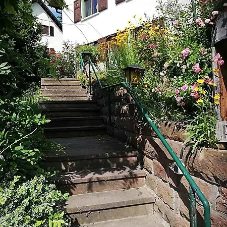 La Casita Linda *