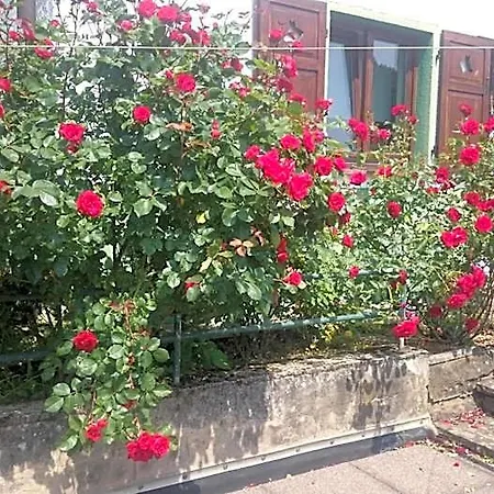 Apartament La Casita Linda Eberbach (Rhein-Neckar-Kreis)
